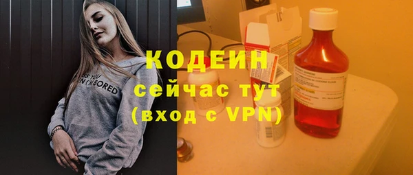 прущий лед Болотное