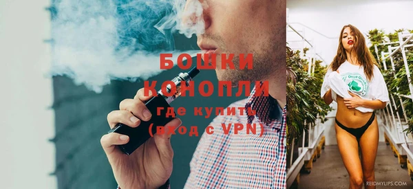 крисы Алексин