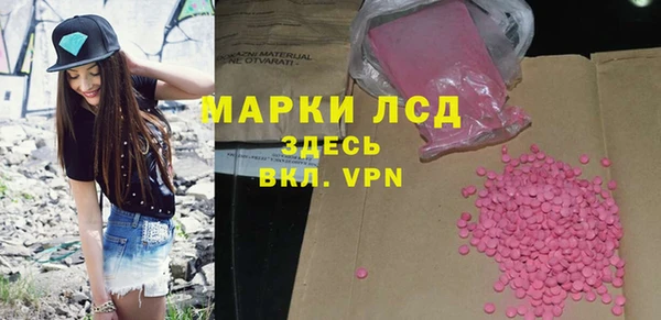 apvp Алзамай