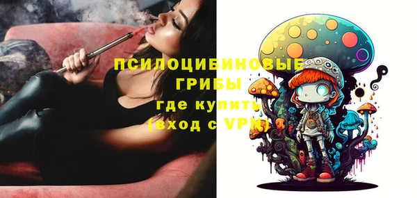 apvp Алзамай