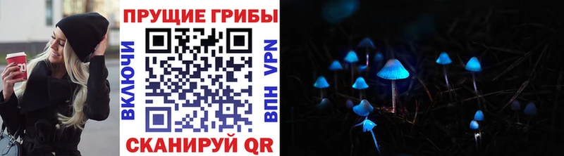 что такое Сосновка Псилоцибиновые грибы мицелий